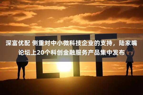 深富优配 侧重对中小微科技企业的支持，陆家嘴论坛上20个科创金融服务产品集中发布